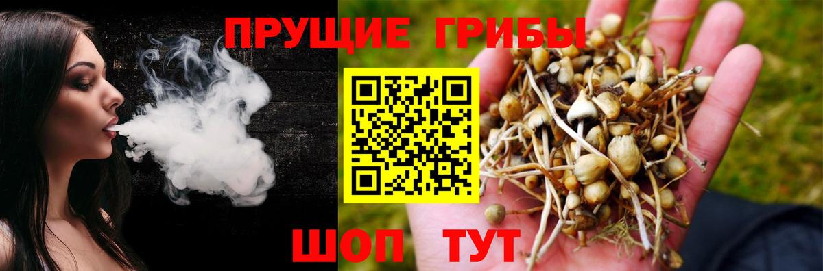 Галлюциногенные грибы мицелий Калач-на-Дону